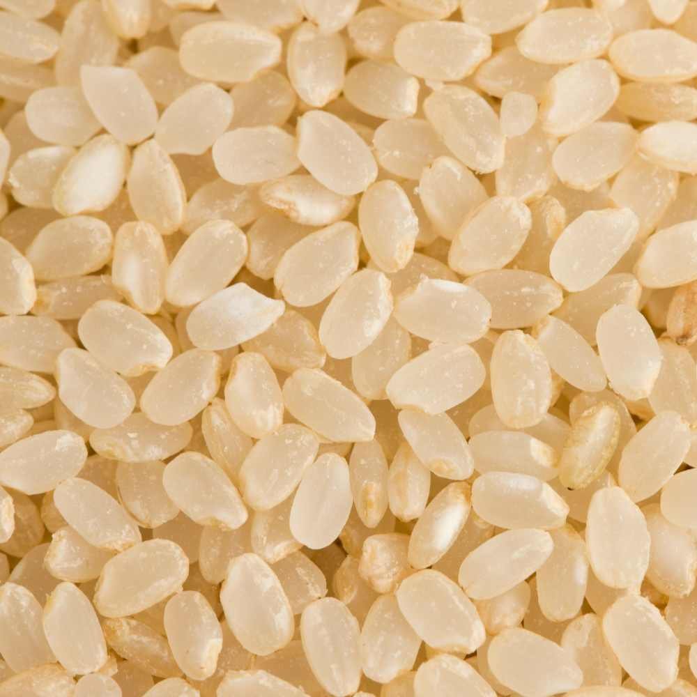 IR-64 Rice